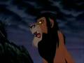 videos de Simba es virgen y joto!!!
