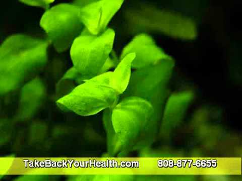 how to dissolve quercetin