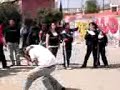 pelea de la eskuela jose ma morelos