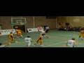 ringtv bcat- gullegem