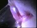 Horn player vibrating lips slow motion - awesome