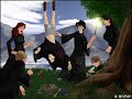 HP - The Marauder Era