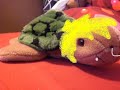 La bella tartaruga La bella tartaruga