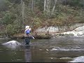 1 Farmington River Caddis Emerger Fly Fishing
