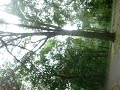 Biking at branch brook park