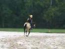 loping gilbert again, moreso working on him being straight through the center