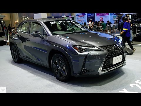 2024 Lexus UX 250h Hybrid / In-Depth Walkaround Exterior & Interior