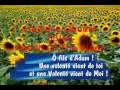 Hadith Qudssi 33