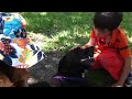 Click here to watch this video Who's the Goodest Doggy? CASEY!