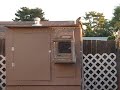 Hawk tried to get in (Part 5 of 5)