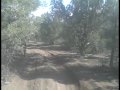 Groundshakers Race Tight Trees Empey Mt 7 4 2009