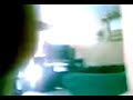 peleasde karate