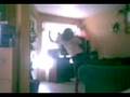 videos de peleasde karate