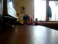 videos de kickflip over rail on a tech deck