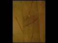 best hotel shower: Ritz-Carlton Hotel, Berlin
