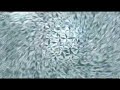 Sharp Aquos TV Commercial (Cool Japan) ????????? Sharp Aquos TV Commercial (Cool Japan) ?????????