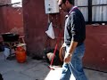 canibalismo real
