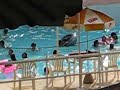 Piscina de ondas quentes Piscina de ondas quentes