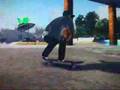 EA Games Presents Skate.