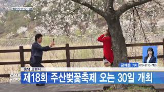 [0326 CMB 5시뉴스] 충남 보령시, 제18회 주산벚꽃축제 오는 30일 개최