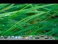 Mac OS X Leopard - New Desktop
