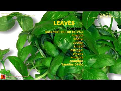 how to replant basil from store