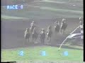 1988 la habra stakes