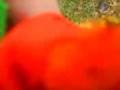 videos de Demon Snowman at the park PART TWO...