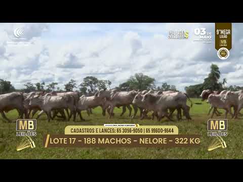 9� MEGA LEIL�O DA MB LEIL�ES