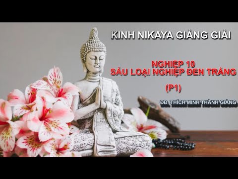 Kinh NIKAYA Giảng Giải - Nghiệp 10 - Sáu Loại Nghiệp Đen Trắng - Phần 1