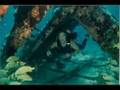 DIVING-AND-MORE-DIVI