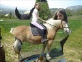 les PiiX de ma Pounette haflinger =)