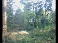 aydn on a zip line