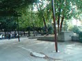 skater kids in silver spring