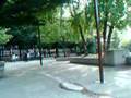 skater kids in silver spring