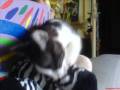Cat - Movie ng