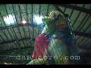 lindsey-hawkes-vs-derek-andrewchuck-umc-ix.html