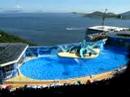HongKong Ocean park 30