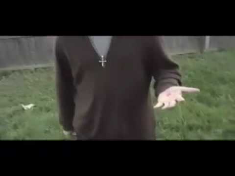 the real stigmata