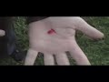 the real stigmata