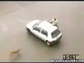 worst-police-dog-in-the-world.html