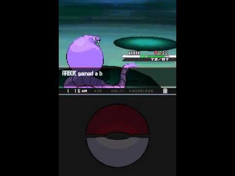 arbok