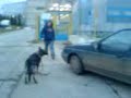 asta tr�ninkkk 4