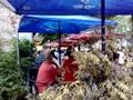 Cafe Mirell