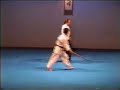 Mori Sensei  Aikido Yoshinkan Demo - Melbourne 2003