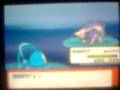 videos de .my sHiny goLbat..=)
