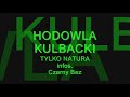 Czarny Bez/Dziki Bez & Dzikie Gołębie LIVE -siła z natury- HODOWLA KULBACKI TYLKO NATURA, nasze metody naturalne, więcej informacji, na filmie DVD 582min. USA_GERMANY ,tylko u Pani Moniki w Polsce kom. 508 461 277, http://www.kulbacki.de