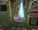 Guild Wars AB Assassin/Dervish *READ DESC*