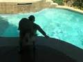 videos de Dad and Masen Playing in the Pool!