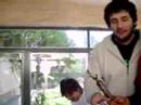 gustavo diaz